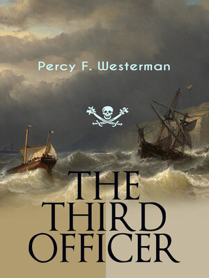 cover image of THE THIRD OFFICER